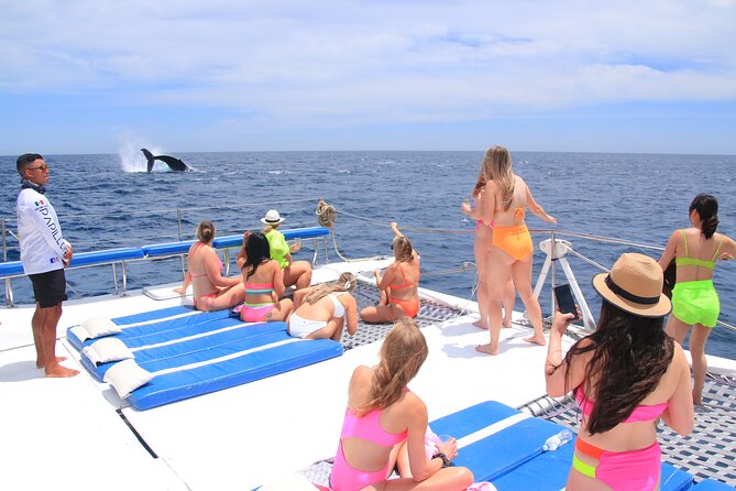 Cabo San Lucas All-Inclusive Private Catamaran Snorkeling Cruise - Is $2,200 good value?