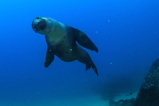 Cabo San Lucas Arch Boat Tour and Snorkeling at Pelican Rock - El Arco is the essential Cabo photograph