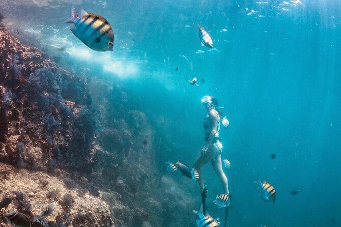 Cabo San Lucas Arch Boat Tour and Snorkeling at Pelican Rock - What the $89.10 price really buys you