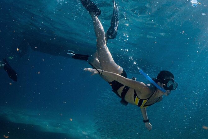 Cabo San Lucas Arch Boat Tour and Snorkeling at Pelican Rock - Timing is the biggest question mark