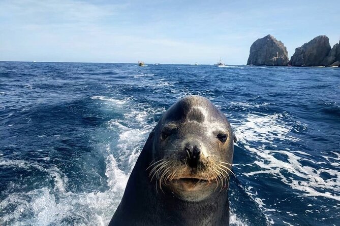 Cabo San Lucas Boat Tour and Snorkel at Pelican Rock - The four stops, and what each adds