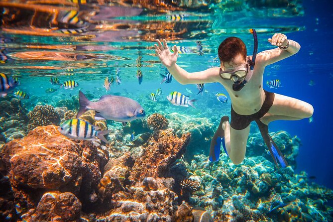 Cabo San Lucas Boat Tour and Snorkel at Pelican Rock - My call: book it with the right expectations
