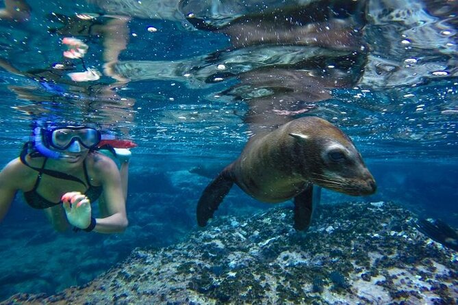 Cabo San Lucas Boat Tour and Snorkel at Pelican Rock - Guides Leo and Vincent set the tone