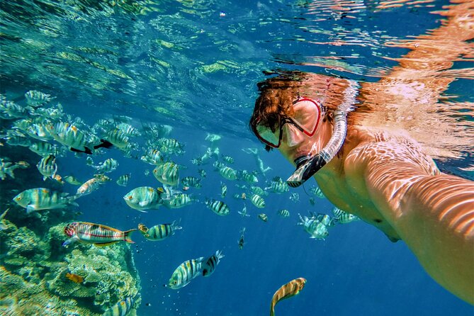 Cabo San Lucas Boat Tour with Snorkeling, Open Bar, and Lunch - Service, safety, and the limits of a party boat