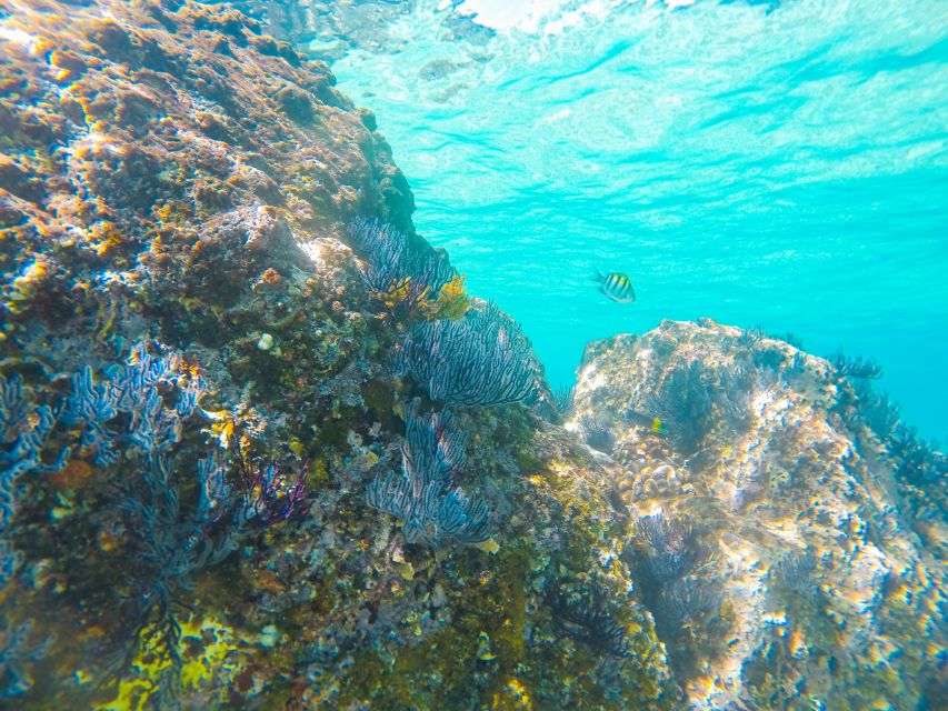 Cabo San Lucas: Private Catamaran Tour with Snorkeling - Music, swimming, and the right pace