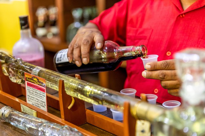 Cabo San Lucas Shopping, Tequila Tasting, and Snorkel Tour - How crowded can the catamaran feel?