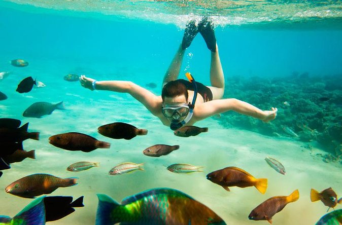 Cabo San Lucas Shopping, Tequila Tasting, and Snorkel Tour - What the $135 price really buys you
