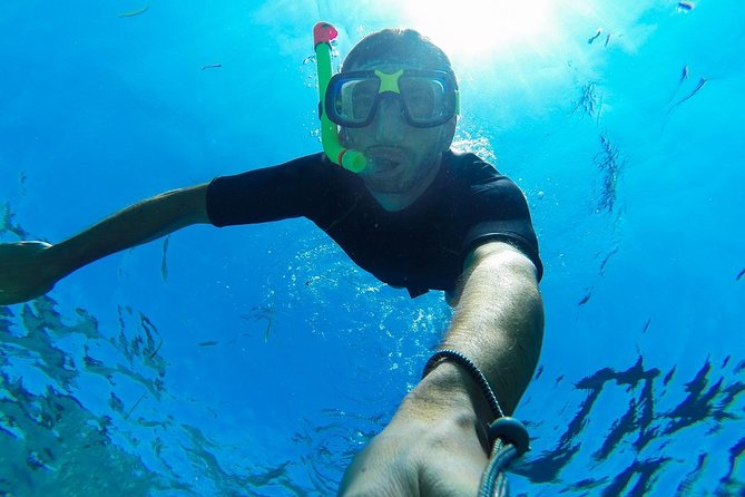 Cabo San Lucas Short Snorkeling Tour with Divemaster Guide - Fish, rocks, and the best place to look