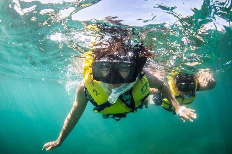 Cabo San Lucas: Snorkel, Lunch and Sail Experience - Cabo’s most famous view, seen from the water