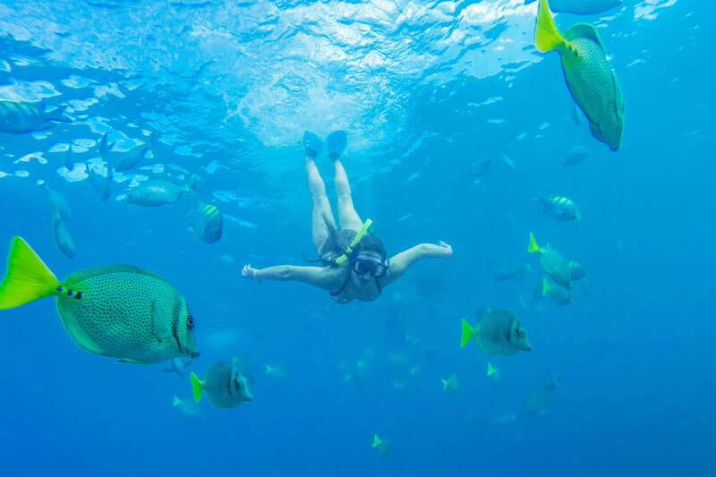 Cabo San Lucas: Snorkel, Paddle-board, and/or Kayak Tour - Key points to know before booking