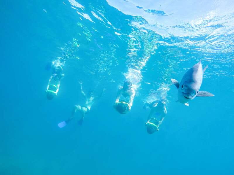 Cabo San Lucas: Snorkel, Paddle-board, and/or Kayak Tour - Why the water time is the main event