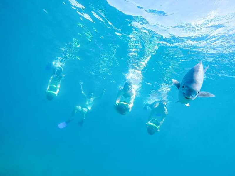 Cabo San Lucas: Snorkel, Paddle-board, and/or Kayak Tour - Practical advice for a smoother morning