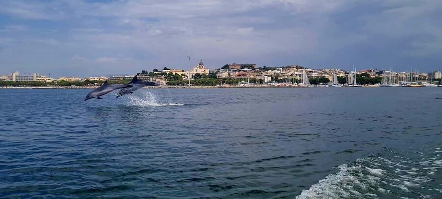Cagliari: Boat Tour, 4 Stops, Swim, Snorkeling, & 1 Spritz - Dolphin watching near Cagliari’s port