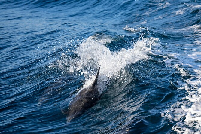 Cagliari Boat Tour with Sardatrips; Swim, Snorkeling, Sip & Snack - Natural caves and the Sella del Diavolo