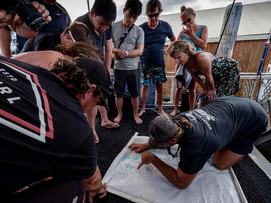 Cairns: 2-Day Great Barrier Reef Dive and Snorkel Boat Trip - Key things to know before booking