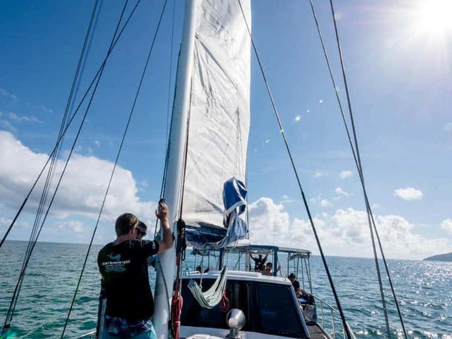 Cairns: 2-Day Great Barrier Reef Dive and Snorkel Boat Trip - Why nine reef areas make this more than a single reef stop