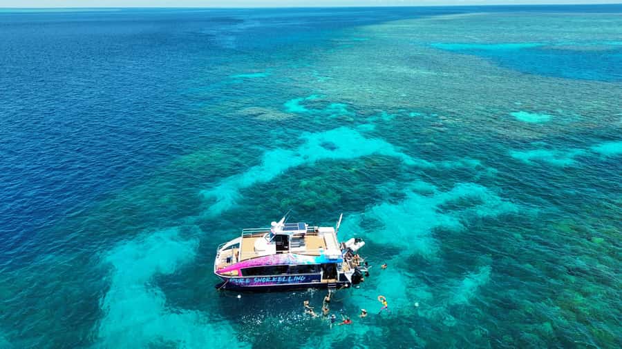 Cairns: All-Inclusive Great Barrier Reef Half-Day Snorkeling - Key points to know before you book