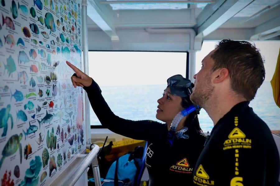 Cairns: All-Inclusive Great Barrier Reef Half-Day Snorkeling - Why this half-day reef trip works well
