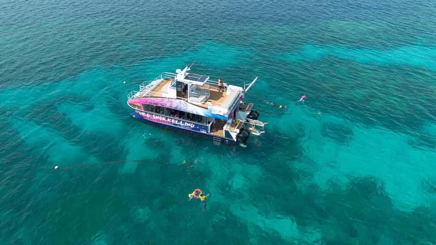 Cairns: All-Inclusive Great Barrier Reef Half-Day Snorkeling - The fast ride to the Outer Reef