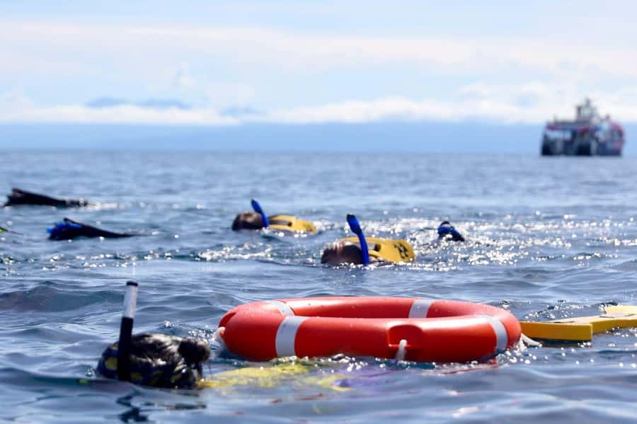 Cairns: All-Inclusive Great Barrier Reef Half-Day Snorkeling - Who should book this trip