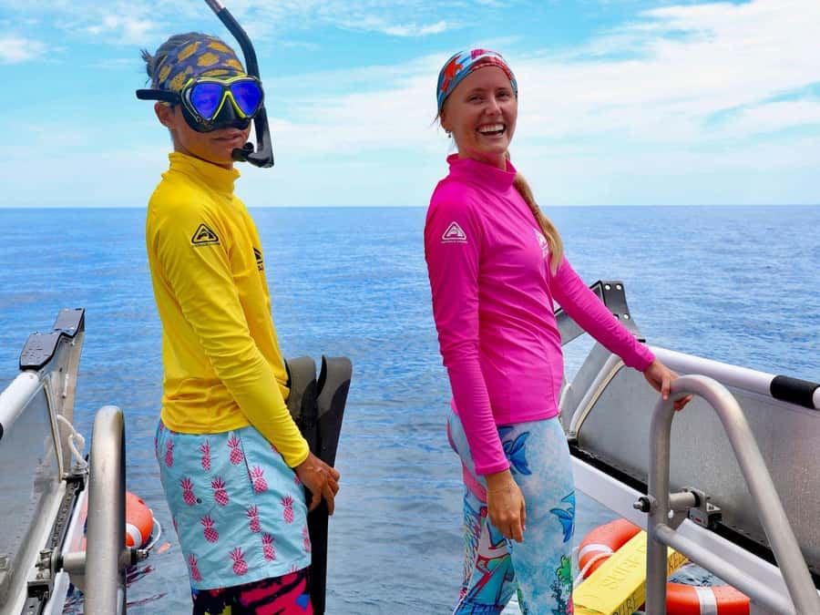 Cairns: All-Inclusive Great Barrier Reef Half-Day Snorkeling - Starting at Cairns Marlin Marina