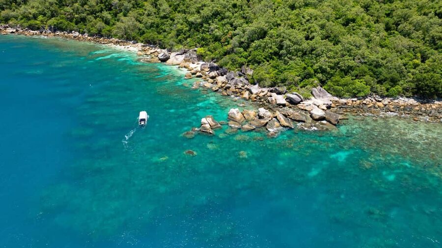 Cairns: Fitzroy Island Ferry, optional lunch, tours, snorkel - Getting from Cairns Marina to the island