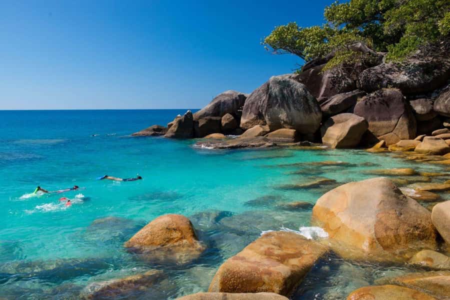Cairns: Fitzroy Island Ferry w/ Snorkel, Lunch, Tour Options - Key things to know before you book