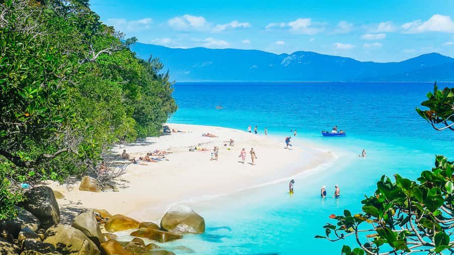 Cairns: Fitzroy Island Ferry w/ Snorkel, Lunch, Tour Options - Snorkelling from the beach