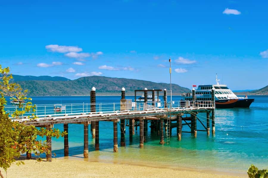 Cairns: Fitzroy Island Ferry w/ Snorkel, Lunch, Tour Options - Choosing lunch and the paid extras