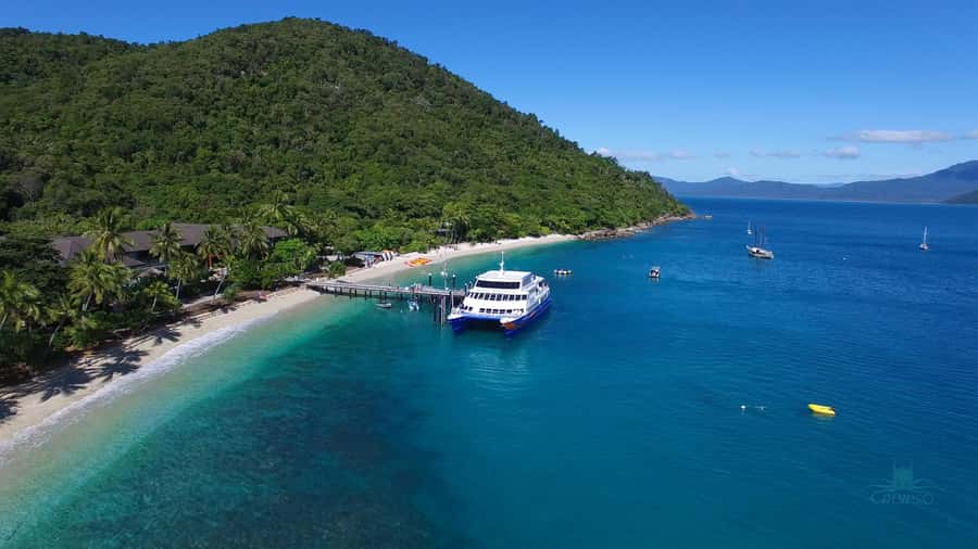 Cairns: Fitzroy Island Ferry w/ Snorkel, Lunch, Tour Options - Who will enjoy this island day most?