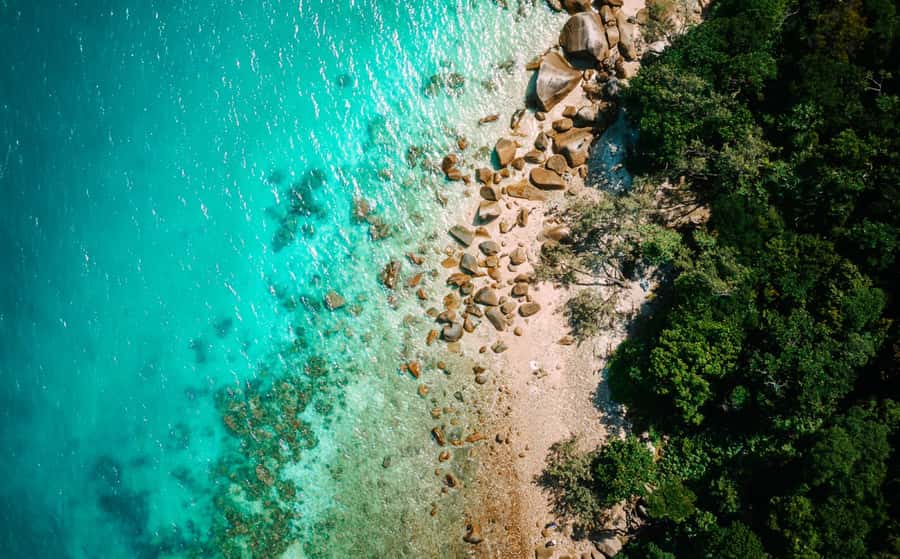 Cairns: Fitzroy Island Ferry w/ Snorkel, Lunch, Tour Options - Four hours to make Fitzroy Island your own