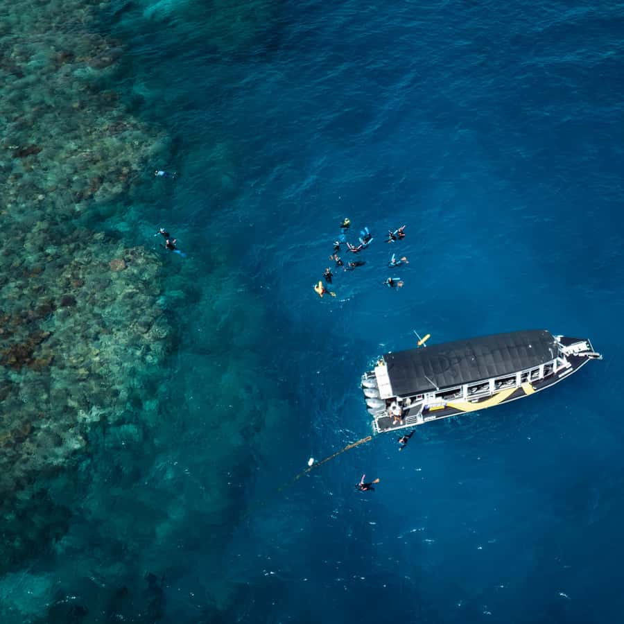 Cairns: Great Barrier Reef Half-Day Snorkelling Tour - Quick points before you book