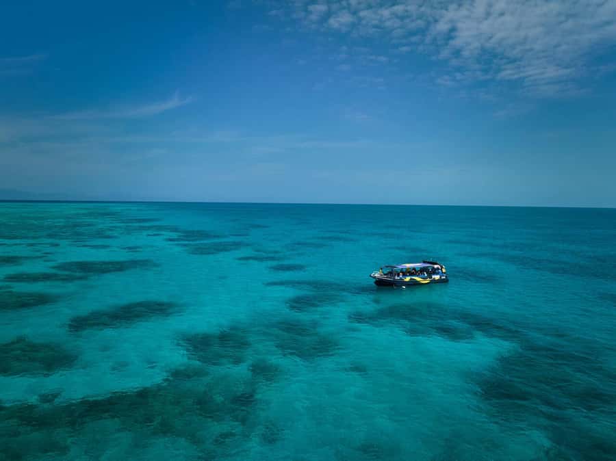 Cairns: Great Barrier Reef Half-Day Snorkelling Tour - Why the small group matters