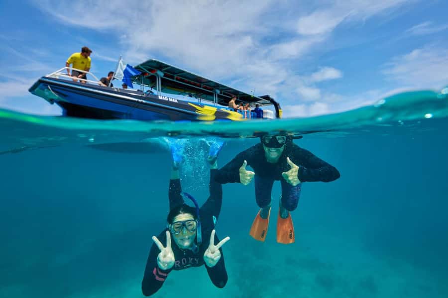 Cairns: Great Barrier Reef Half-Day Snorkelling Tour - What the equipment and food really include