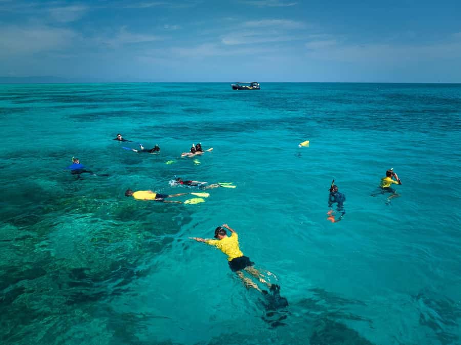 Cairns: Great Barrier Reef Half-Day Snorkelling Tour - Is the $126 price fair for four hours?