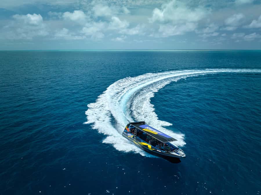 Cairns: Great Barrier Reef Half-Day Snorkelling Tour - My verdict: a smart short reef outing