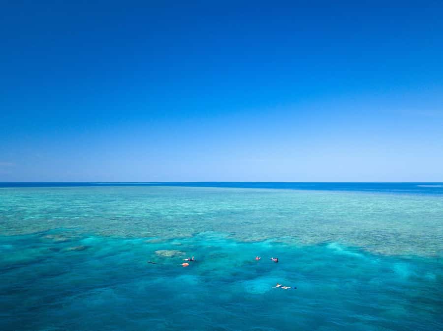 Cairns: Great Barrier Reef Overnight Snorkelling Boat Trip - Saxon, Norman, and Hastings reefs