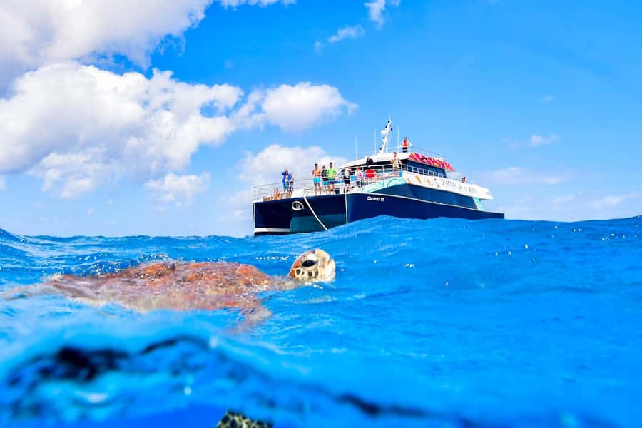 Cairns: Great Barrier Reef Premium Diving Full Day Tour - Booking details that matter