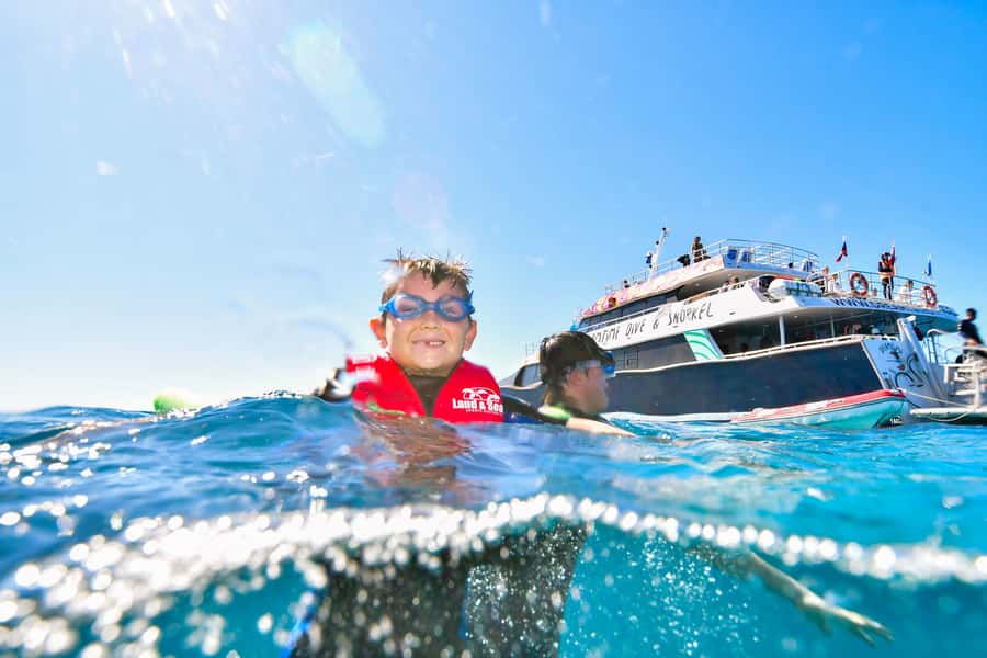 Cairns: Great Barrier Reef Premium Diving Full Day Tour - Marine science without a classroom feel