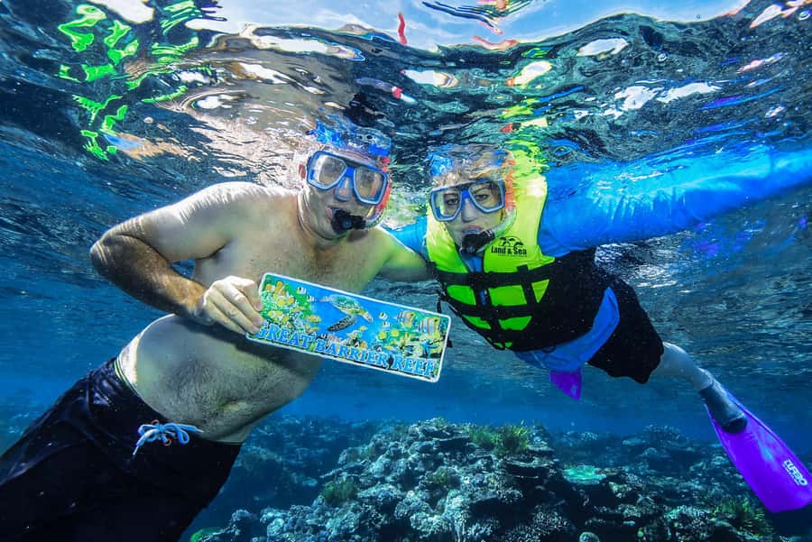 Cairns: Great Barrier Reef Premium Diving Full Day Tour - Food, equipment, and comfort between swims