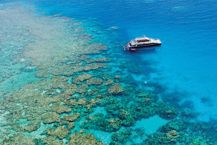 Cairns: Great Barrier Reef Premium Diving Full Day Tour - What the five hours in the water feel like