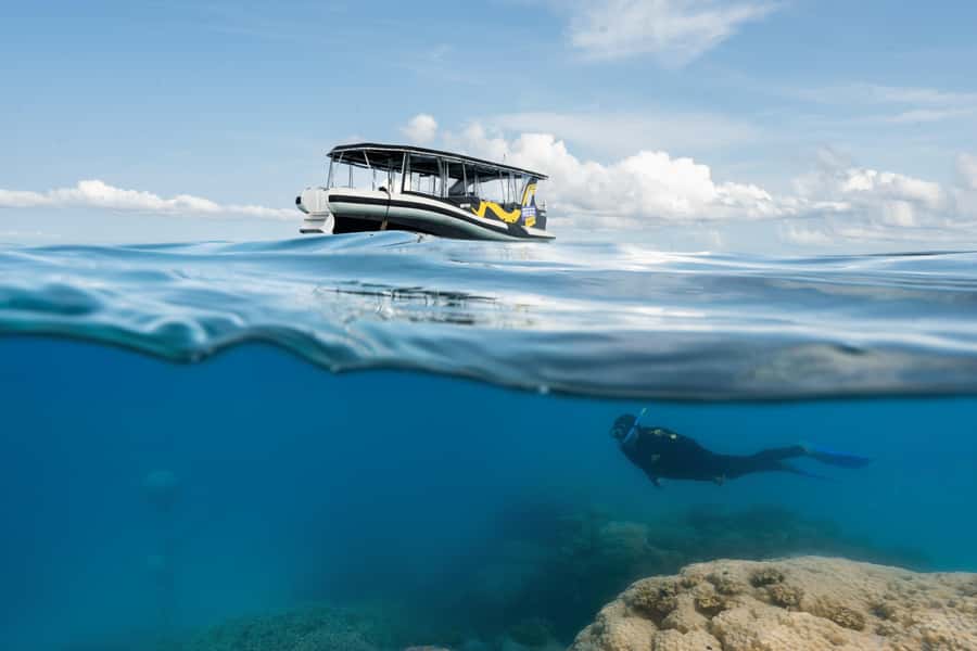 Cairns: Great Barrier Reef Small Group Snorkelling Tour - Two reef sites, chosen for the day