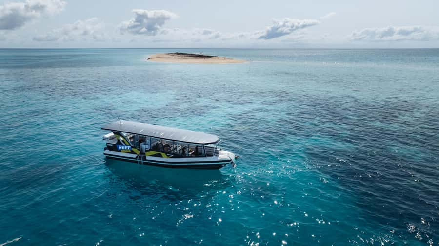 Cairns: Great Barrier Reef Small Group Snorkelling Tour - The guides are a major part of the value