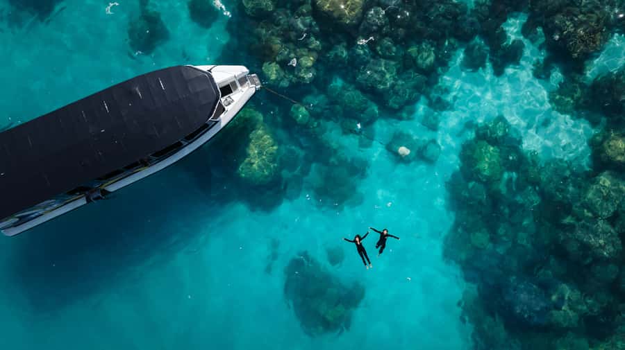 Cairns: Great Barrier Reef Small Group Snorkelling Tour - Why the small group changes the day
