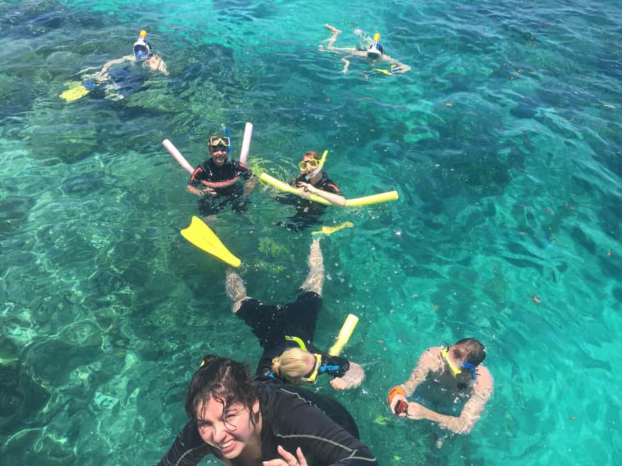 Cairns: Great Barrier Reef Snorkeling Tour with Lunch - Booking details and useful preparation