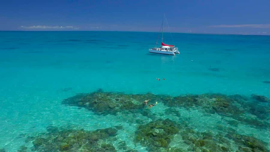 Cairns: Great Barrier Reef Snorkeling Tour with Lunch - A practical look at the two snorkeling sessions