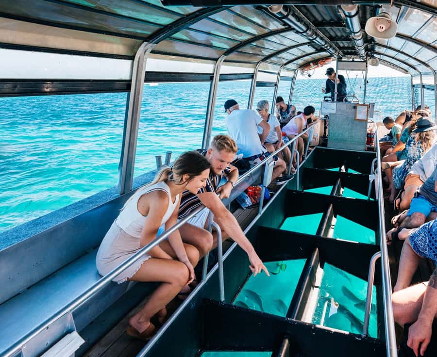 Cairns: Green Island Snorkelling or Glass Bottom Boat - Key points to know before you go