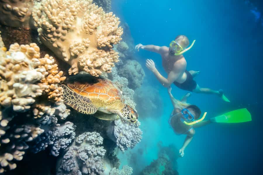 Cairns: Green Island Snorkelling or Glass Bottom Boat - The short catamaran ride from Cairns