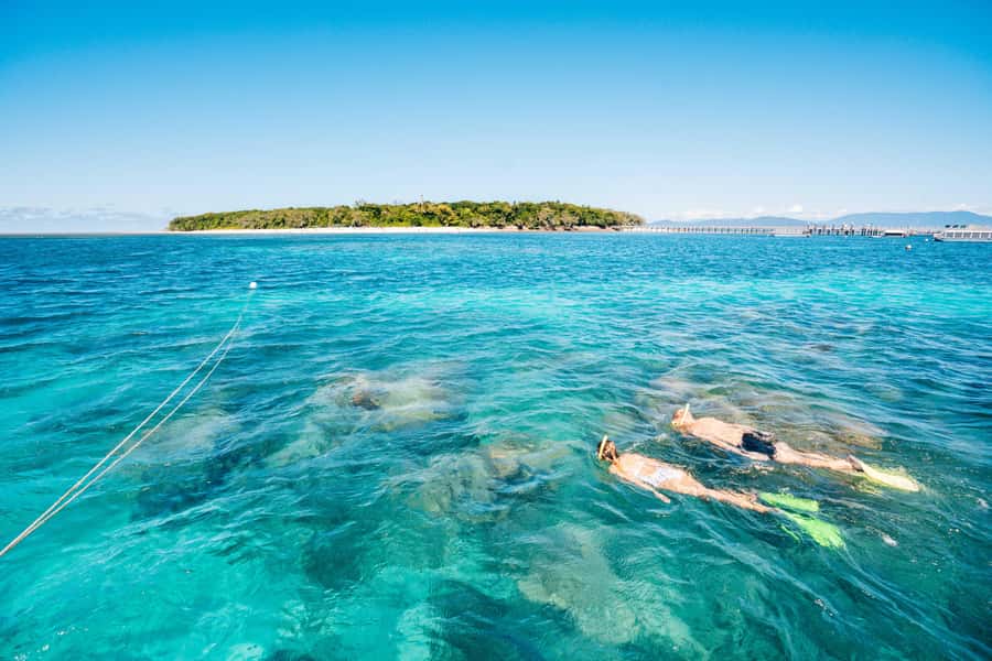 Cairns: Green Island Snorkelling or Glass Bottom Boat - Snorkelling straight from the beach