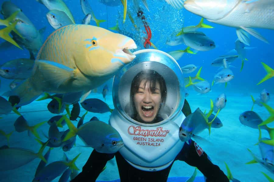 Cairns: Green Island Snorkelling or Glass Bottom Boat - What the glass bottom boat adds